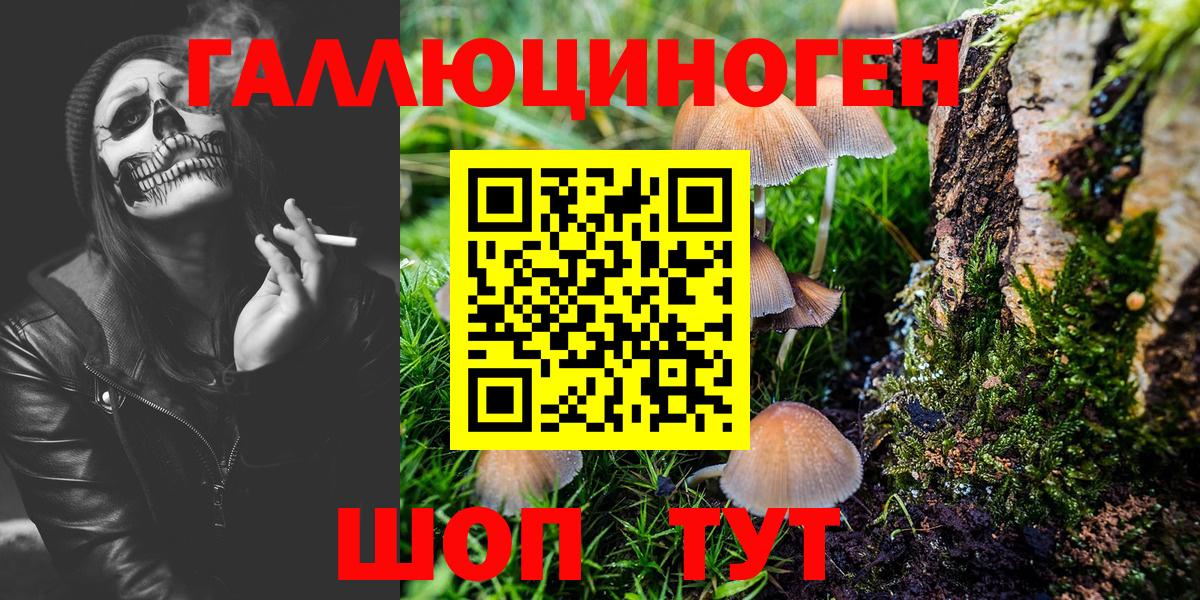 ГАШ Жуковский