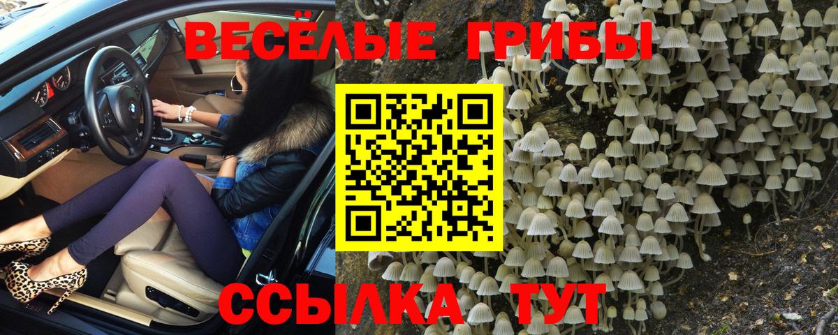 Псилоцибиновые грибы ЛСД Жуковский