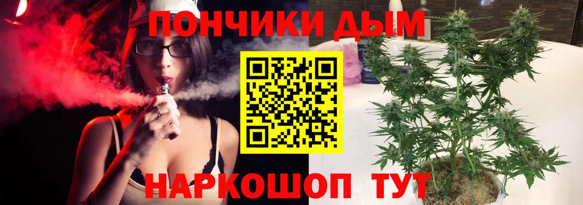 Бошки Шишки THC 21%  Вход с VPN  Марихуана сатива  Жуковский  Конопля Amnesia  Бошки Шишки THC 21% 
